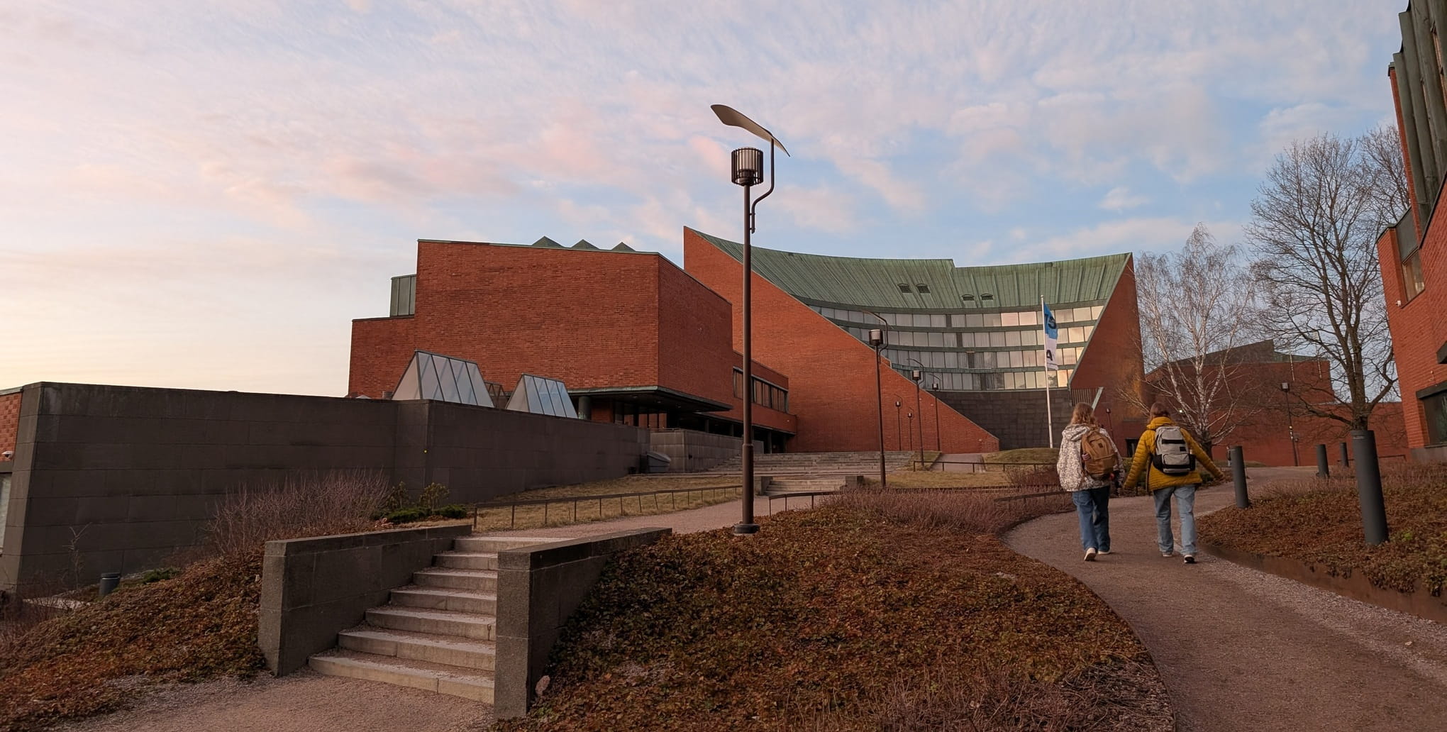 What to study as a generalist?